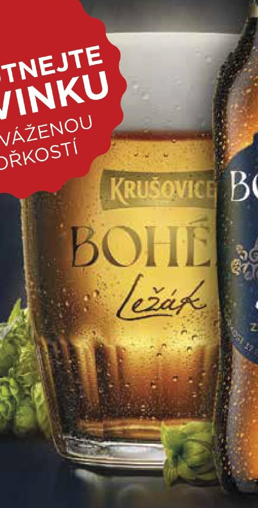 Krušovice Bohém ležák v pivní sklenici
