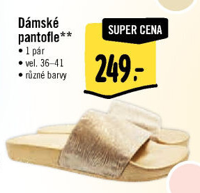 Dámské pantofle