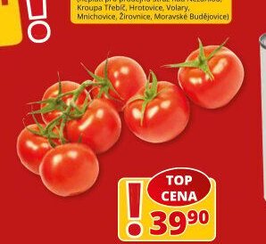 Rajčata keříková
