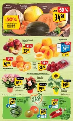 akční leták Albert 31.5.2023-6.6.2023