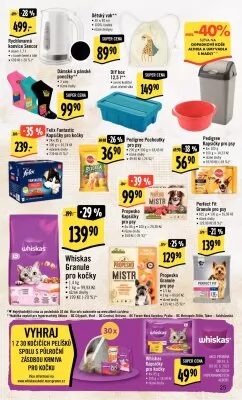 akční leták Albert 31.5.2023-6.6.2023