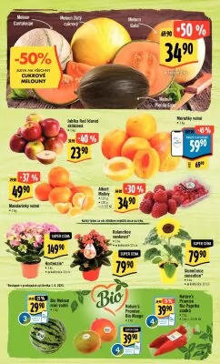 akční leták Albert 31.5.2023-6.6.2023