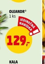 OLEANDR