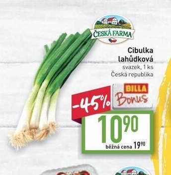 Cibulka lahůdková