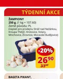 Žampiony