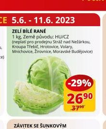 Zelí bílé rané