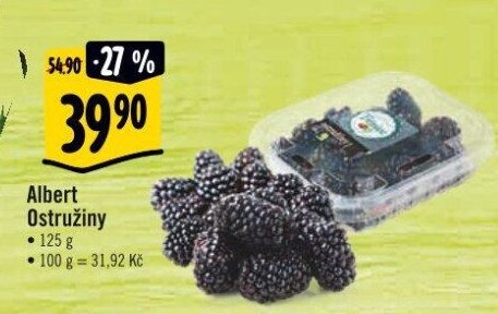Ostružiny
