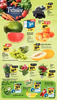 akční leták Albert 7.6.2023-13.6.2023