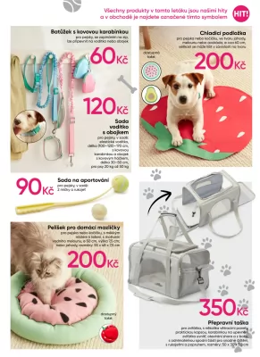 akční leták PEPCO 15.6.2023-28.6.2023