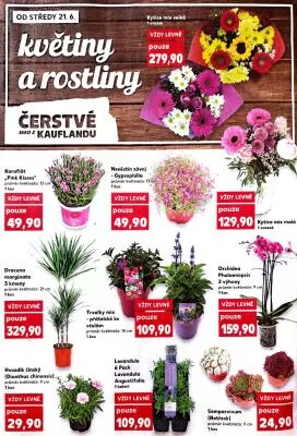 akční leták Kaufland 21.6.2023-27.6.2023