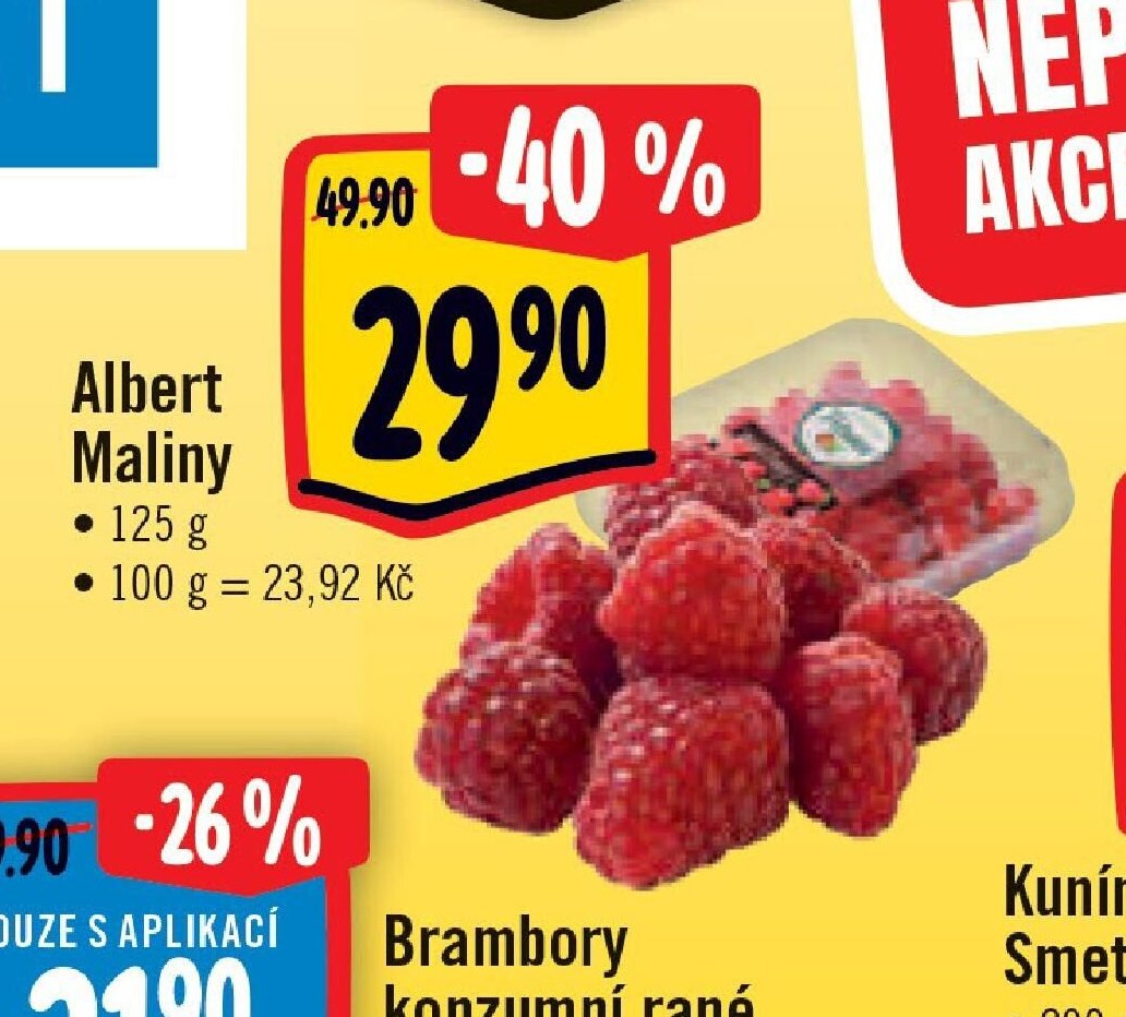 Albert Maliny