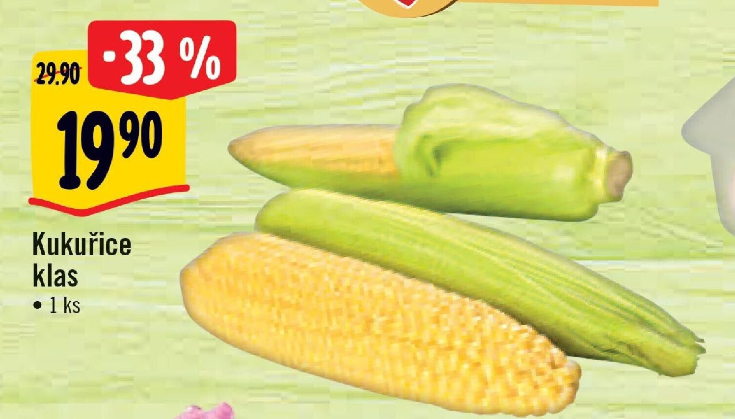 Kukuřice klas