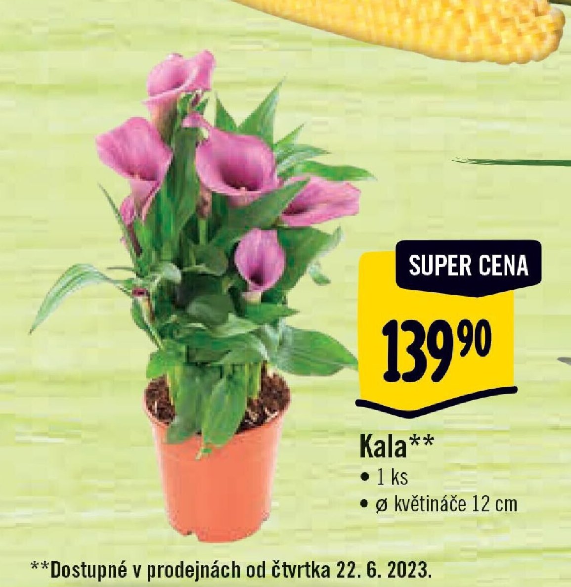 Kala