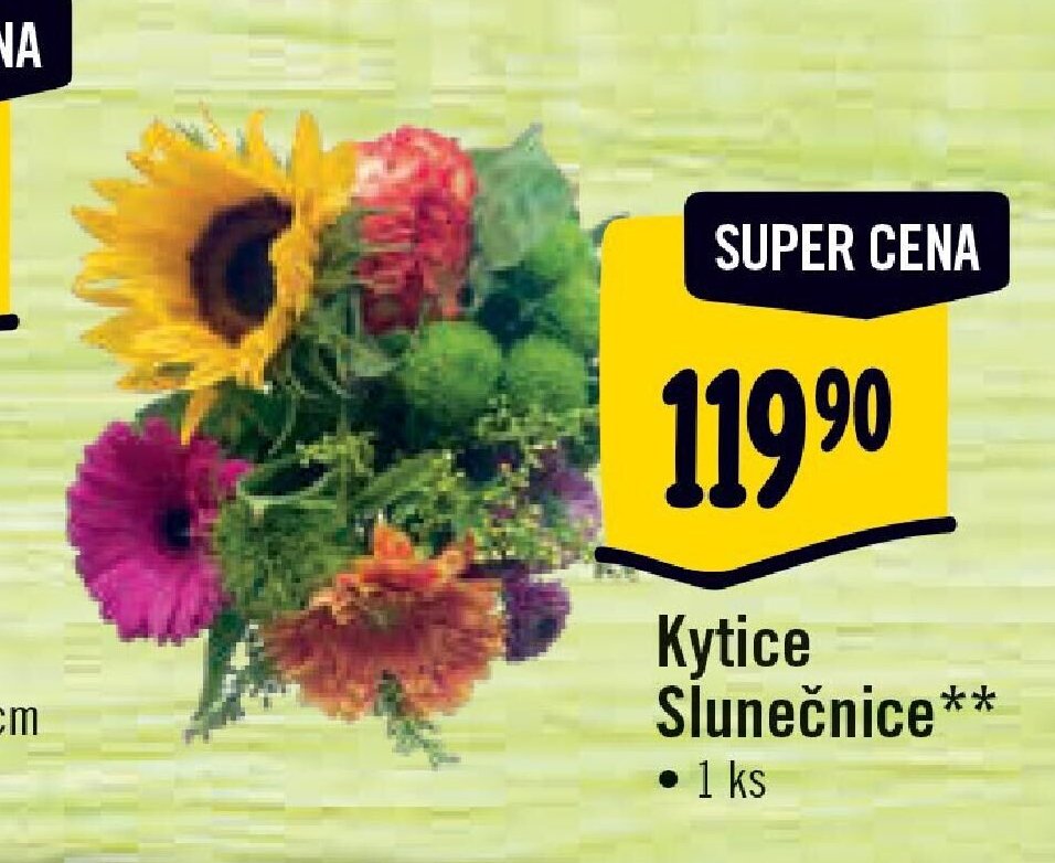 Kytice Slunečnice