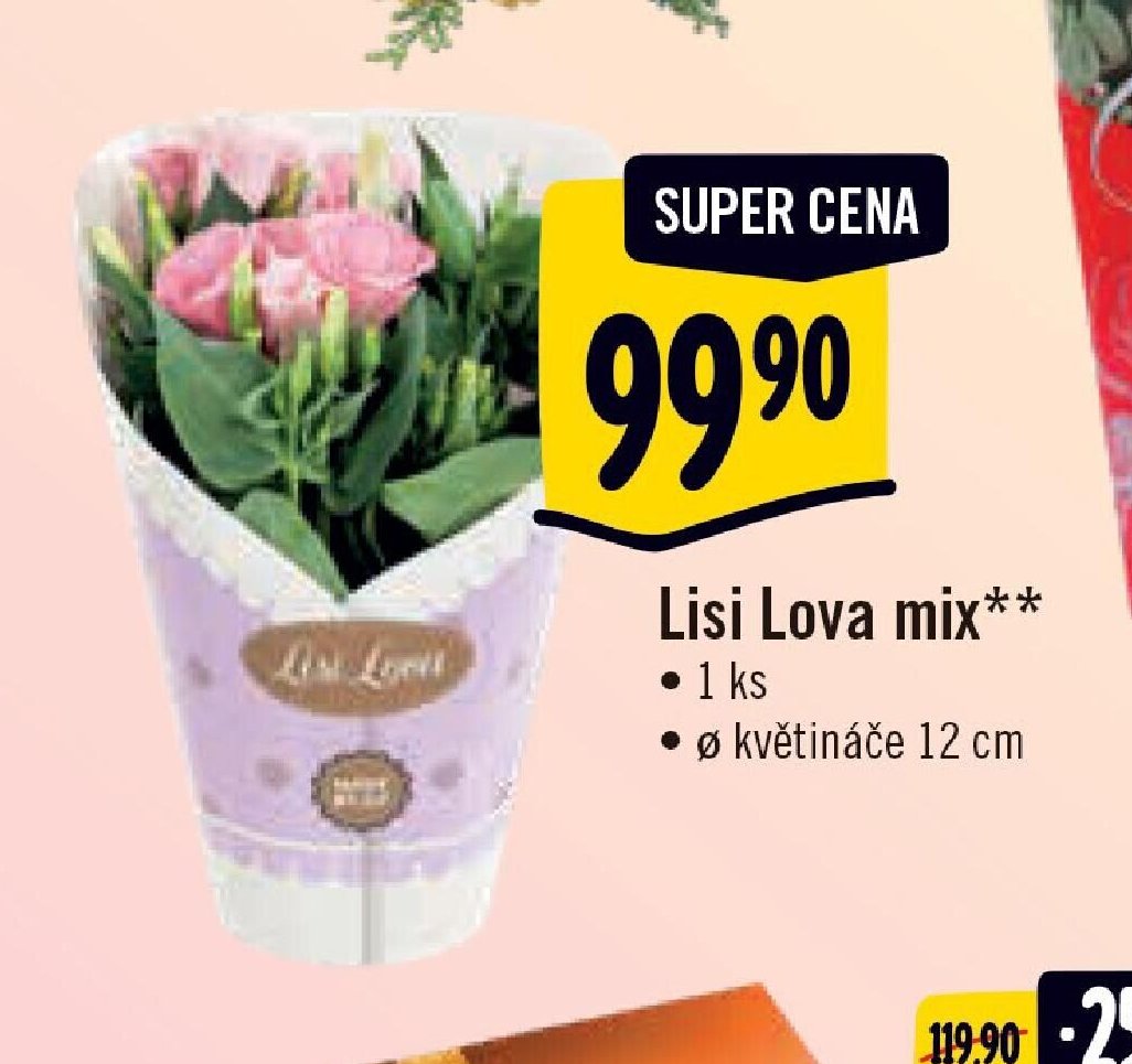 Lisi Lova mix**