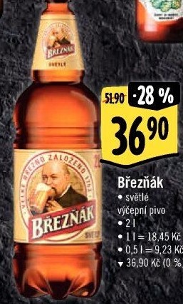 Pivo světlé výčepní 10° Březňák