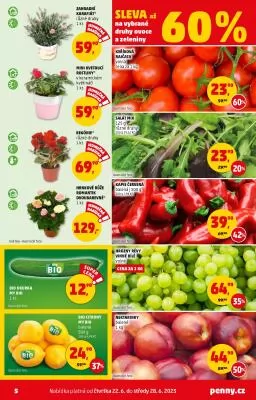 akční leták Penny Market 22.6.2023-28.6.2023