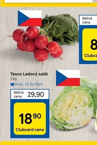 Tesco Ledový salát