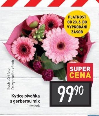 Kytice pivoňka s gerberou mix