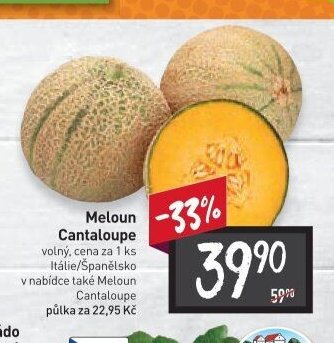 Meloun Cantaloupe