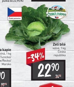Zelí bílé