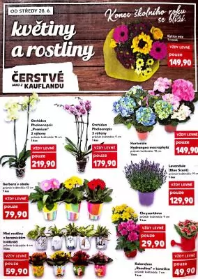 akční leták Kaufland 28.6.2023-4.7.2023