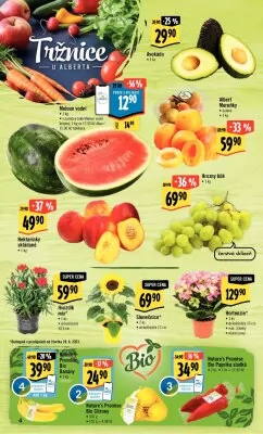 akční leták Albert 28.6.2023-4.7.2023