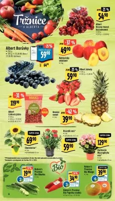 akční leták Albert 28.6.2023-4.7.2023