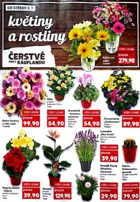 akční leták Kaufland 7.7.2023-11.7.2023