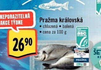 Pražma královská Albert