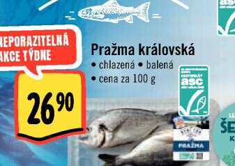 Pražma královská Albert