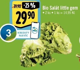 Salát little gem bio