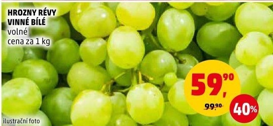 Hrozny bílé