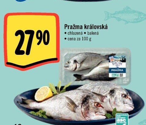 Pražma královská Albert