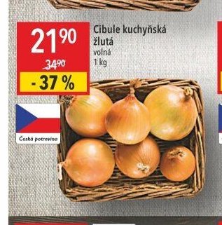 Cibule kuchyňská žlutá