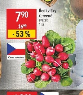 Ředkvičky červené