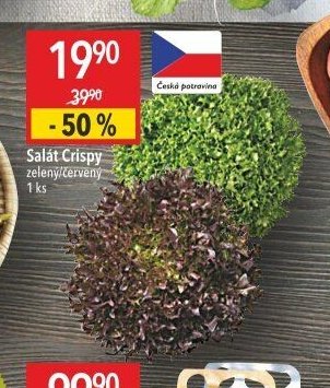 Salát Crispy zelený/červený