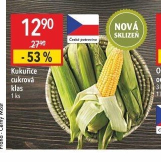 Kukuřice cukrová klas