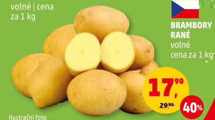 Brambory konzumní rané