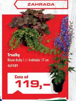 Trvalky - UNI HOBBY akcniletaky.com