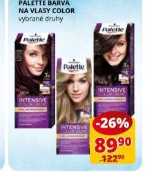 Palette barva na vlasy Color