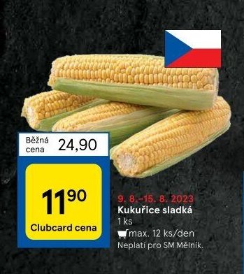 Kukuřice sladká