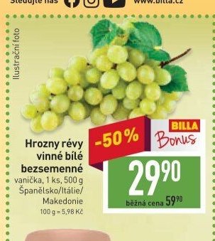 Hrozny révy vinné bílé bezsemenné