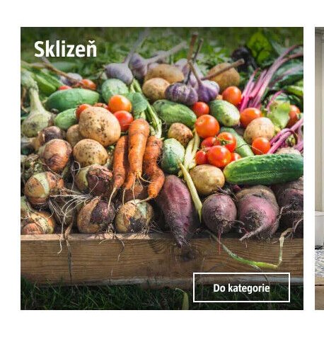 Sklizeň - BAUHAUS akcniletaky.com