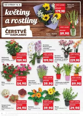 akční leták Kaufland 16.8.2023-22.8.2023
