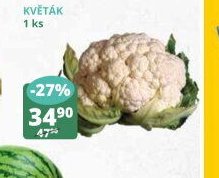 Květák