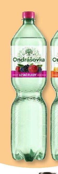Ondrášovka lesní plody