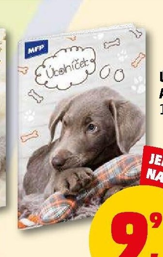 Úkolníček A6