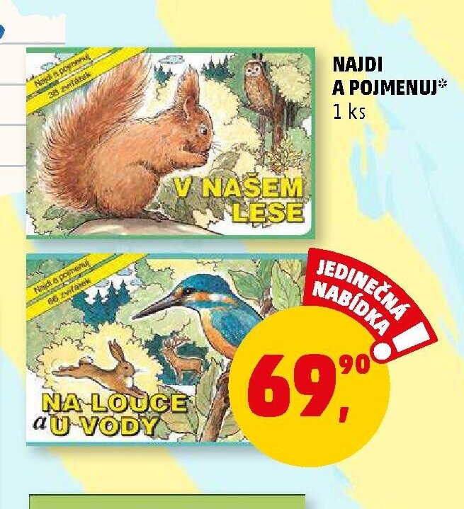 Najdi a pojmenuj - V našem lese