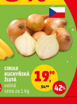 CIBULE KUCHYŇSKÁ ŽLUTÁ